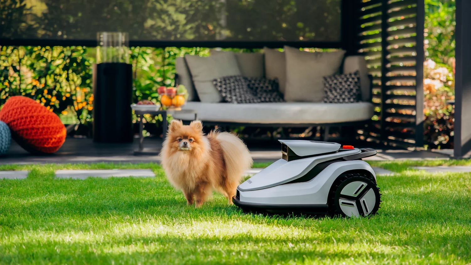 How to Choose the Most Suitable Lawn Mower for Your Garden